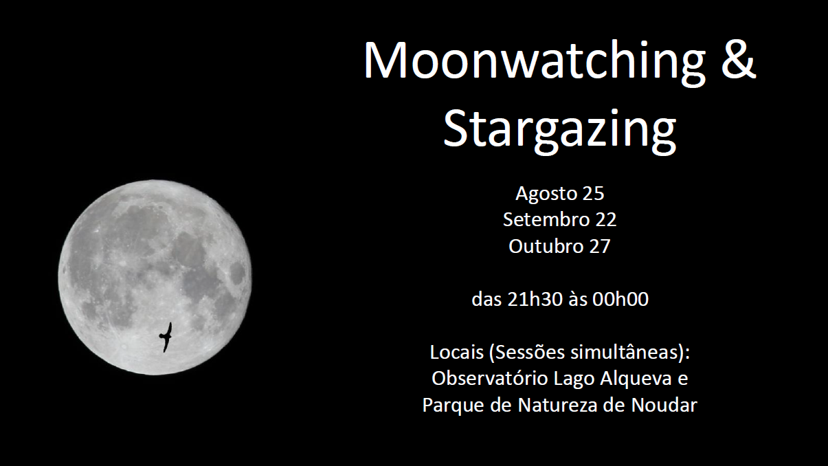Moonwatching & Stargazing